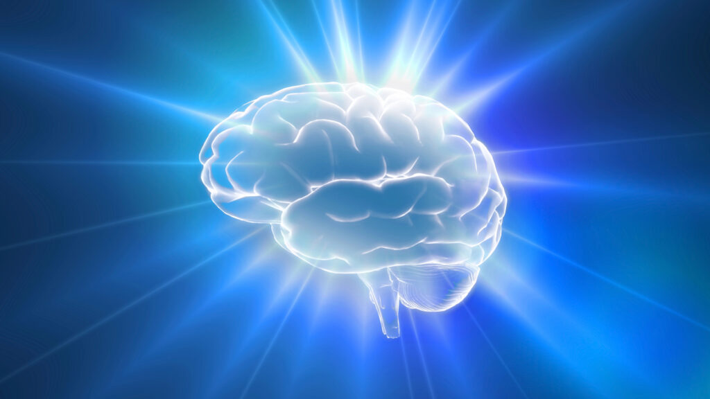 Digital brain representing the collective mind in branding