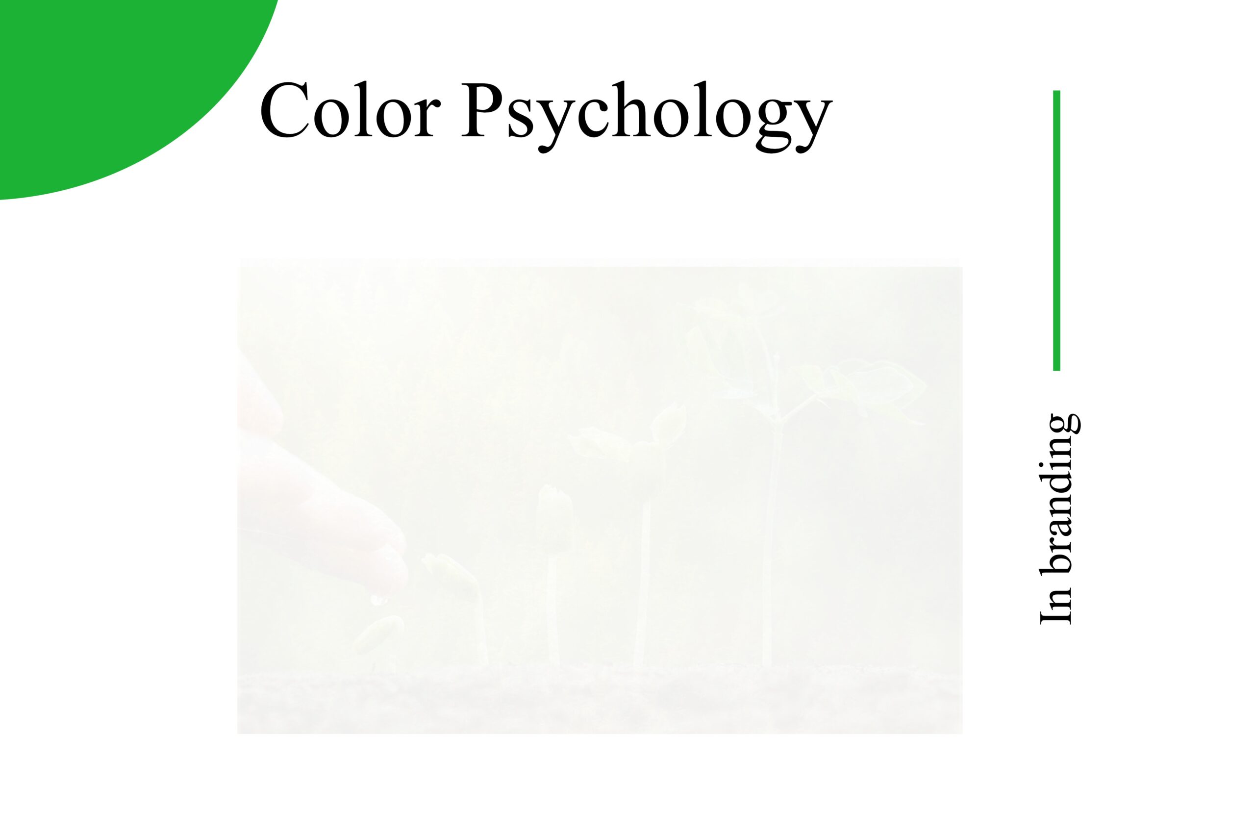 color psychology in branding