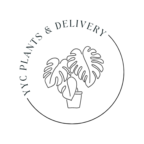 YYC Plants & Delivery logo